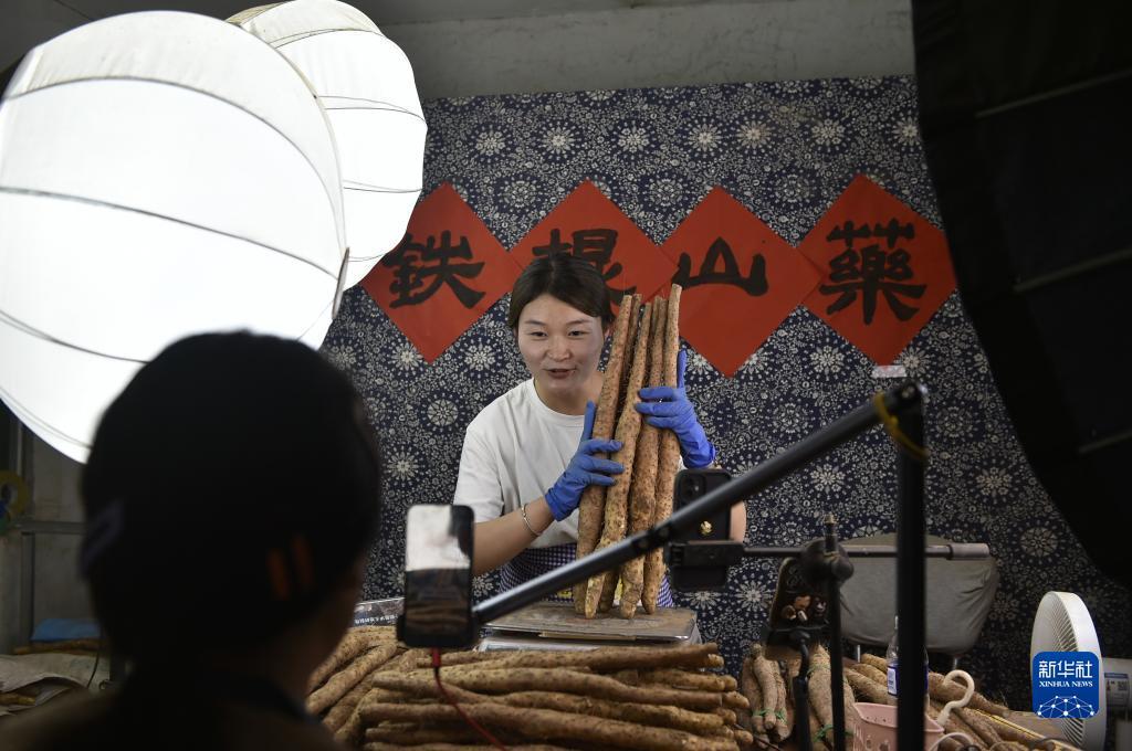 凤凰城棋牌
